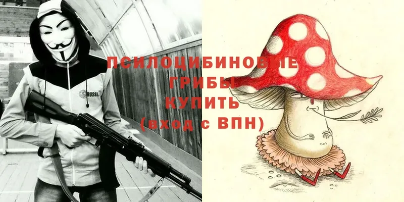 Псилоцибиновые грибы Psilocybine cubensis  сколько стоит  Миньяр 